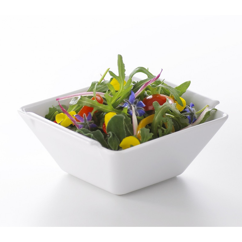 White porcelain square salad bowl